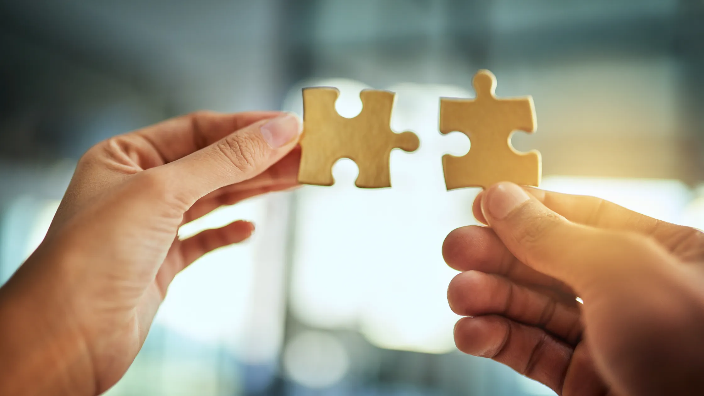 business-succession-matching