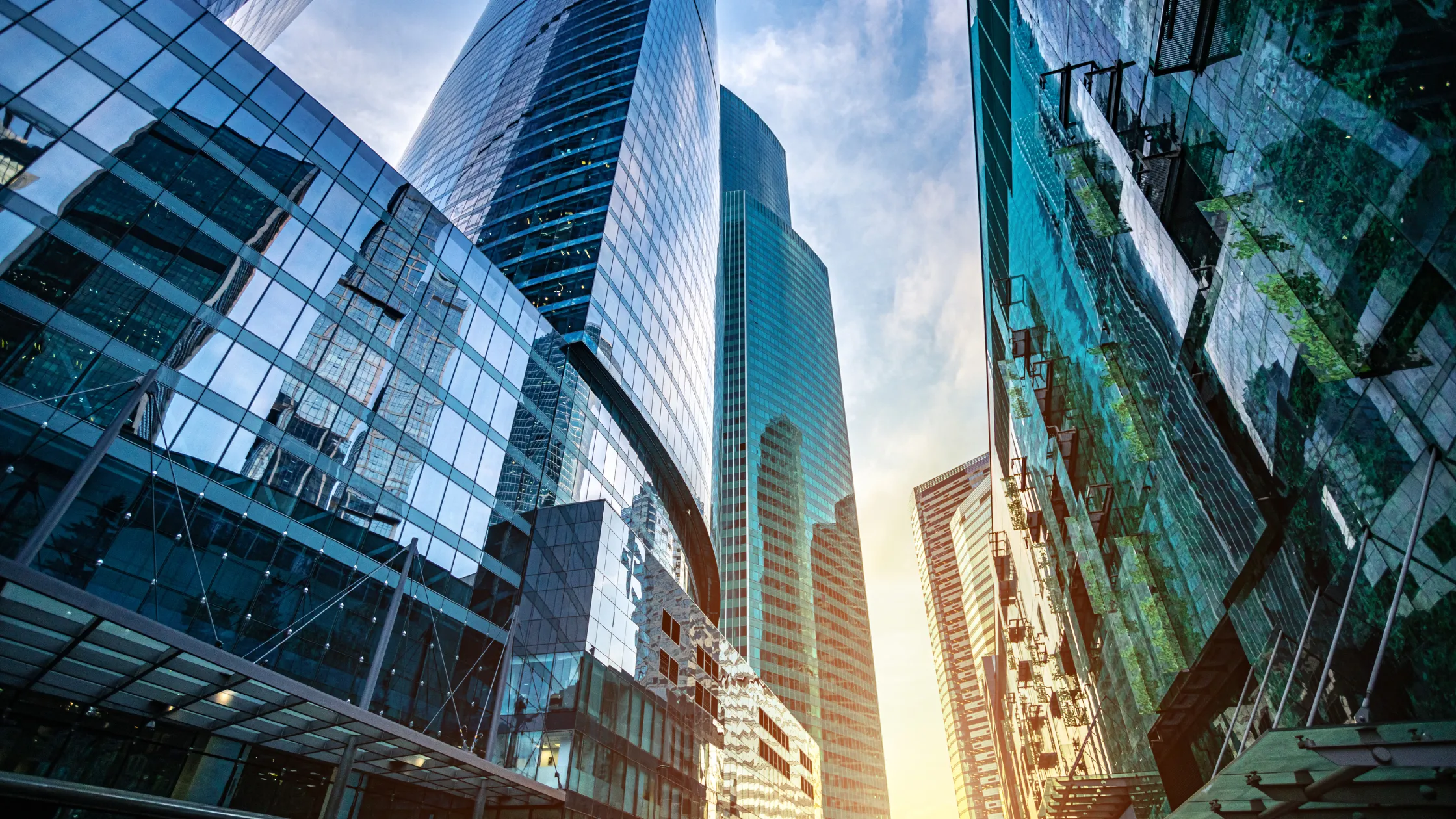 credit-guarantee-corporation-debt-forgiveness